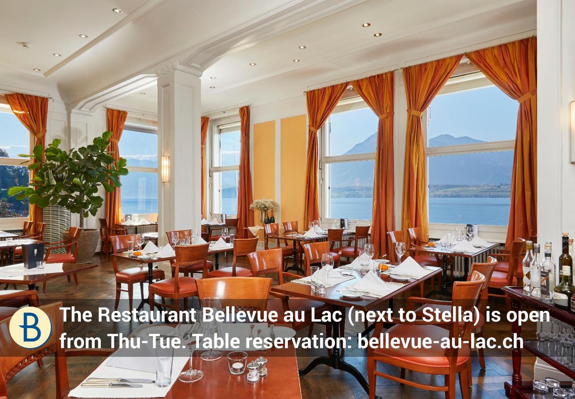 Dependance Stella Del Lago By Hotel Restaurant Bellevue Au Lac 图恩 外观 照片