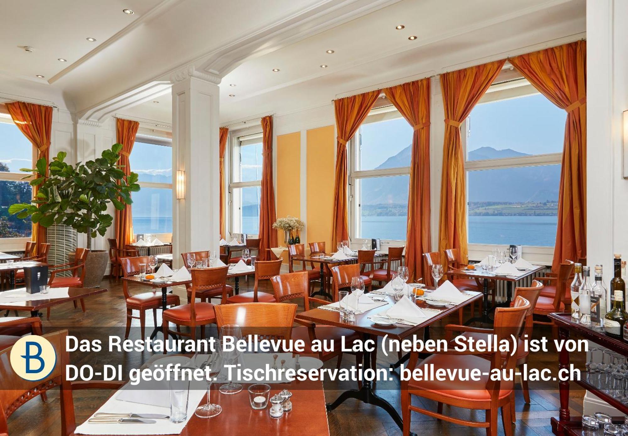 Dependance Stella Del Lago By Hotel Restaurant Bellevue Au Lac 图恩 外观 照片